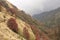 Pink mountain forest near Ghorepani