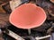 Pink Mushroom in the Rainforest Leaves