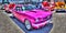 Pink Mustang