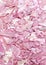 Pink natural gemstone nacre seashells close-up, beautiful texture of gemstone