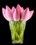 Pink Nelumbo nucifera flowers in a transparent vase, close up