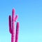 Pink neon cactus on a blue gradient background