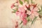 Pink nerium oleander flowers with a vintage texture