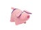 Pink New Year`s pig with big ears on a white background, isolate, closeup, new year of the pig, swine