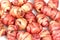 Pink Oca Tubers