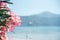 Pink oleander flowers at the seaside summer landscape