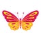 Pink and orange butterfly clip art