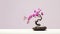 Pink Orchid Bonsai Tree: Minimalistic Japanese Still Life