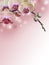 Pink Orchid Branch with abstract bokeh background