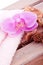 pink orchid potpourri aroma decoration