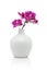 Pink orchid in white vase