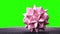 Pink origami spiky ball.