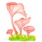 Pink oyster fungus on grass with leaves watercolor illustration.