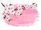 Pink paint sakura branch banner.