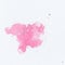 Pink paint splatter. Paint splash on white background. Watercolor texture, effect template