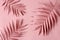 Pink palm leaves