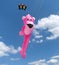 Pink panther kite