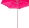 Pink parasol margin