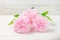 Pink pastel artificial carnation flowers