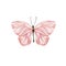 Pink pastel big butterfly. Watercolor.