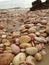 Pink pebbles on the beach