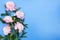 Pink peony flowers on blue background. Copy space. Wedding, gift card, valentine`s day or mothers day background