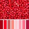 Pink peppercorn palette