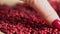 Pink peppercorns placed on a kitchen table. Rotation. Falling. Extreme macro of a Himalayan pepper berries. concept of