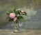 Pink Perfection Camellia Vintage Still Life
