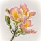 Pink Perfection: The Lovely Freesia Flower