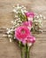 Pink persian buttercup flower, freesia flower