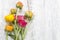 Pink persian buttercup flowers (ranunculus) on white wood