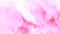 Pink Petal Magenta Background Beautiful elegant Illustration graphic art design Background