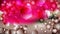 Pink Petal Magenta Beautiful elegant Illustration graphic art design Background