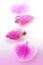 Pink Petals of flower orchid