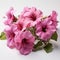 Pink Petunia Branch On White Surface: Tropical Baroque Art With High Resolution