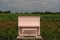 Pink piano sits in a scenic outdoor field, surrounded by lush greenery
