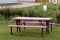 Pink picnic table in front of community garden
