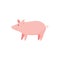 Pink pig farm animal and good luck talisman, flat vector illustration isolated.