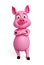 Pink pig with folding hand
