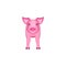 Pink pig front view, isolated on white animal vector illustration livestock, pork beef sign