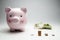 Pink pig - money box. Coins, banknotes, gray background. Finance, savings.