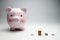 Pink pig - money box. Coins, gray background. Finance, savings.