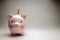 Pink pig - money box. Giving a banknote to the treasury. gray background. Finance, savinG.