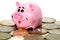 Pink pig moneybox and money