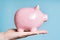 Pink pig piggy bank on female palm on blue background