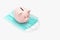 Pink pig piggy bank on a non-sterile green mask