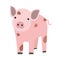 Pink pig or piglet isolated on white background. Portrait of funny cartoon barnyard animal, farm livestock or domestic