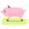 Pink pig rides a yellow skateboard on the road. Pig and sport.
