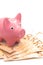 A pink pig-shaped piggy bank on a good amount of euro bills